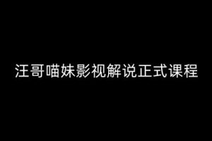 汪哥影视解说正式课程：剪映/PR教学/视解说剪辑5大黄金法则/全流程剪辑7把利器等等