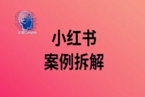 小红书案例拆解，深度解读小红书40万粉