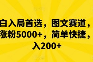 小白入局首选，图文赛道，一周涨粉5000+，简单快捷，日入200+