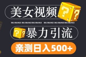 搬运tk美女视频全网分发，日引s粉300+，轻松变现，不限流量不封号