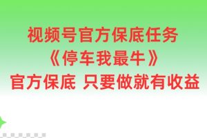 视频号官方保底任务，停车我最牛，官方保底只要做就有收益