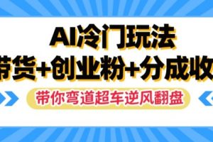 AI冷门玩法，带货+创业粉+分成收益，带你弯道超车，实现逆风翻盘