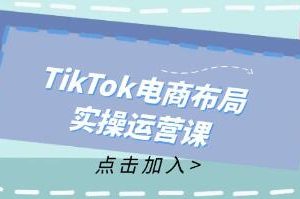 《TikTok电商布局实操运营课》从新手到精通，成为TikTok带货运营高手