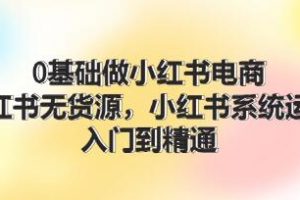 《0基础做小红书电商》小红书无货源系统运营，入门到精通