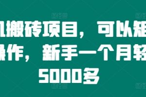 手机搬砖项目，可以矩阵化操作，新手一个月轻松5000多