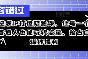 逆袭IP打造陪跑课，让每一个普通人也能玩转流量，抢占自媒体福利