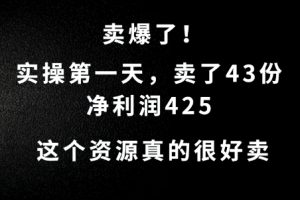 这个资源，需求很大，实操第一天卖了43份，净利润425