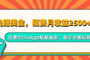 小说赚美金，稿费月收益2.5k美金，仅需会chatgpt粘贴复制，新手也能玩转