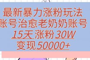 最新暴力涨粉玩法，治愈老奶奶账号，15天涨粉30W，变现至少五位数+