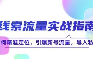 《线索流量实战指南》如何精准定位，引爆新号流量，导入私域