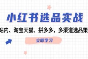 《小红书选品实战》站内、淘宝天猫、拼多多，多渠道选品策略