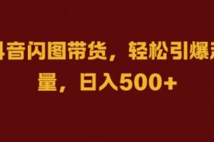 抖音闪图带货，轻松引爆流量，日入几张