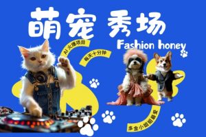 酷飒动物跳舞走秀，时尚喵FASHION汪， 多金小姐姐最爱的，轻松月入破W