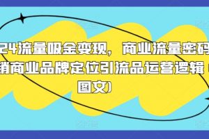 2024流量吸金变现，商业流量密码营销商业品牌定位引流品运营逻辑(图文)