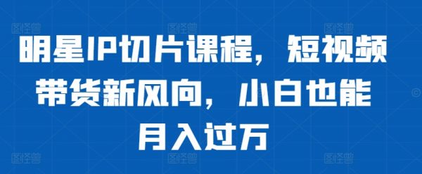 明星IP切片课程，短视频带货新风向，小白也能月入过万