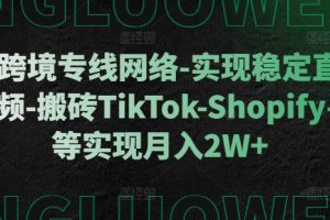 利用跨境专线网络-实现稳定直播-刷视频-搬砖TikTok-Shopify-FB等实现月入2W+