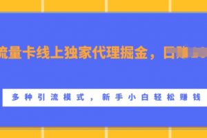 流量卡线上独家代理掘金，日入1k+ ，多种引流模式，新手小白轻松上手