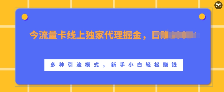 流量卡线上独家代理掘金