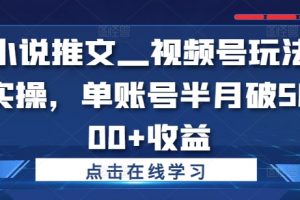 小说推文—视频号玩法实操，单账号半月破5000+收益