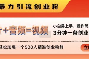 抖音最新暴力引流创业粉，3分钟一条创业类视频，24h轻松加爆一个500人精准创业粉群