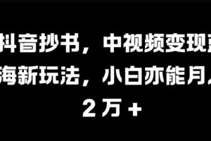 抖音抄书，中视频变现蓝海新玩法，小白亦能月入 过W