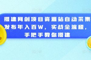 搭建网创项目资源站自动采集发布年入百W，实战全流程，手把手教你搭建