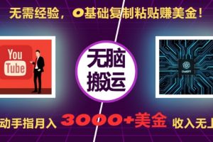 无需经验，0基础复制粘贴赚美刀，动动手指，月入3000+刀，无上限