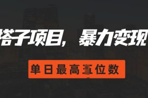 2024搭子玩法，0门槛，暴力变现，单日最高破四位数