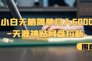 新手小白无脑简单月入6000+的-天涯神贴网盘拉新