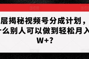 深层揭秘视频号分成计划，为什么别人可以做到轻松月入1W+