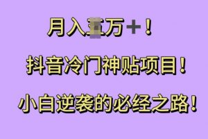 抖音冷门神贴项目，小白逆袭的必经之路，月入过W