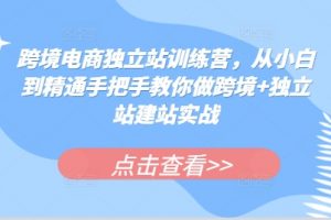 跨境电商独立站训练营，从小白到精通手把手教你做跨境+独立站建站实战