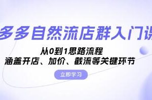 多多自然流店群入门课，从0到1思路流程，涵盖开店、加价等关键环节