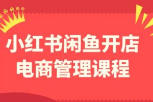 小红书闲鱼开店电商管理教程