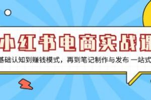 小红书电商实战课，从基础制作与发布认知到赚钱模式