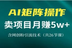 网创IP打造课，借助AI卖项目月赚5万+，含引流技术