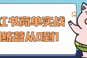 小红书商单实战训练营，从0到1教你如何涨粉变现