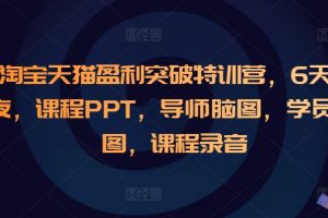 淘宝天猫盈利突破特训营，6天6夜，课程PPT，导师脑图，学员脑图，课程录音