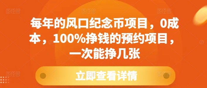 每年的风口纪念币项目