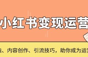 小红书变现运营，IP打造、内容创作、引流技巧，助你成为运营高手