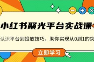 小红书聚光平台实战课，从认识平台到投放技巧