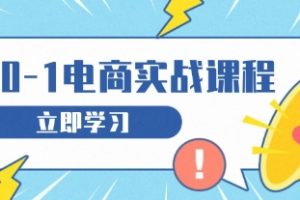 从零做电商实战课程，教你如何获取访客、选品布局，搭建基础运营团队