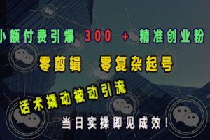 小额付费引爆精准创业粉 300 + ，话术撬动被动引流，当日实操即见成效