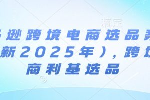 亚马逊跨境电商选品案例，跨境电商利基选品