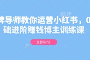 金牌导师教你运营小红书，0基础进阶赚钱博主训练课