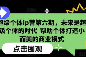 超级个体ip营第六期，未来是超级个体的时代  帮助个体打造小而美的商业模式