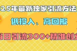 2025年最新独家引流方法，低投入高回报？当日引流300+精准创业粉