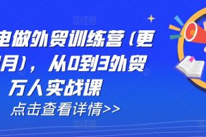 AI闪电做外贸训练营(更新25年1月)，从0到3外贸万人实战课