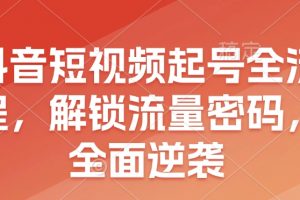 抖音短视频起号全流程，解锁流量密码，全面逆袭