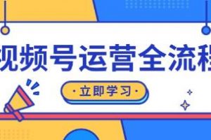 视频号运营实战，起号、直播、私域建设及自然流与付费流运营